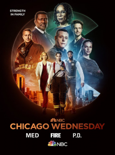 Chicago Police Department saison 11