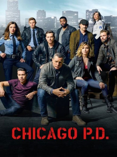 Chicago Police Department saison 3 épisode 10