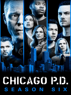 Chicago Police Department saison 6 épisode 12