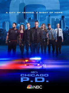 Chicago Police Department saison 7 épisode 5