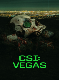 CSI: Vegas saison 3