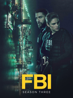 F.B.I. saison 3 épisode 13